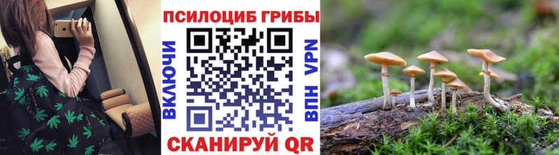 Псилоцибиновые грибы Psilocybe  kraken вход  Горняк  хочу  